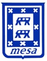 Mesa Brothers logo